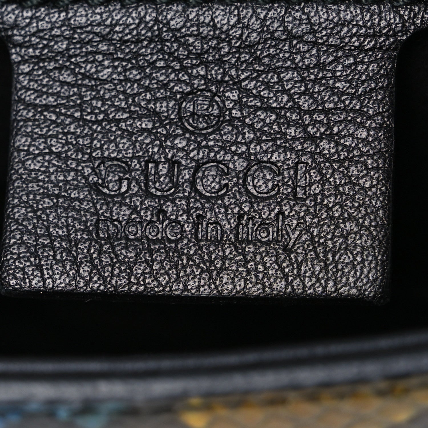 Gucci Snakeskin Bright Bit Animalier Medium Shoulder Bag Multicolor 6 of 13