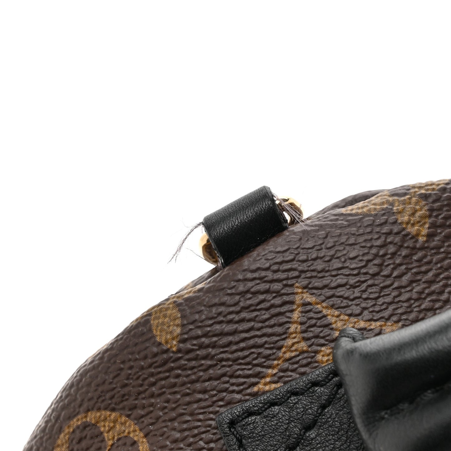 Monogram Palm Springs Backpack Mini