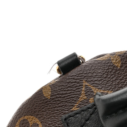 Louis Vuitton Monogram Palm Springs Backpack Mini 10 of 10