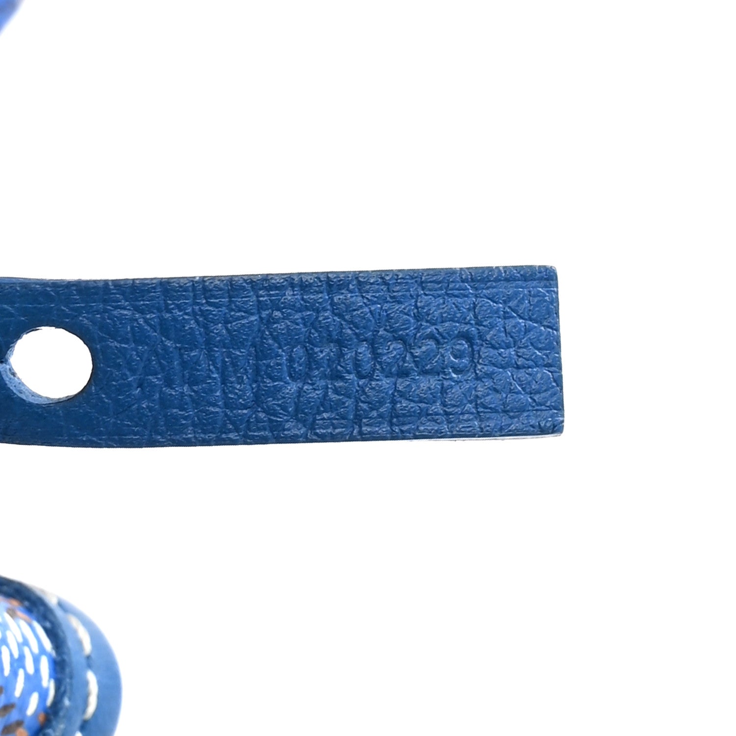 Goyard Goyardine Saint Louis PM Sky Blue 8 of 15