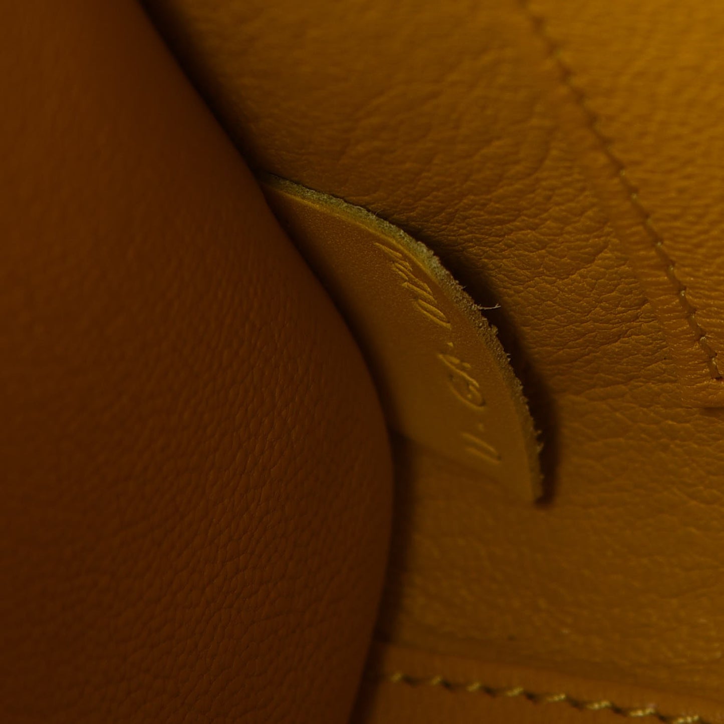 Palmelato Calfskin Nano Luggage Sunflower