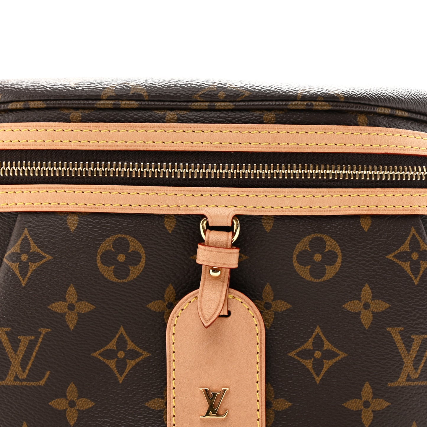 Monogram High Rise Bumbag