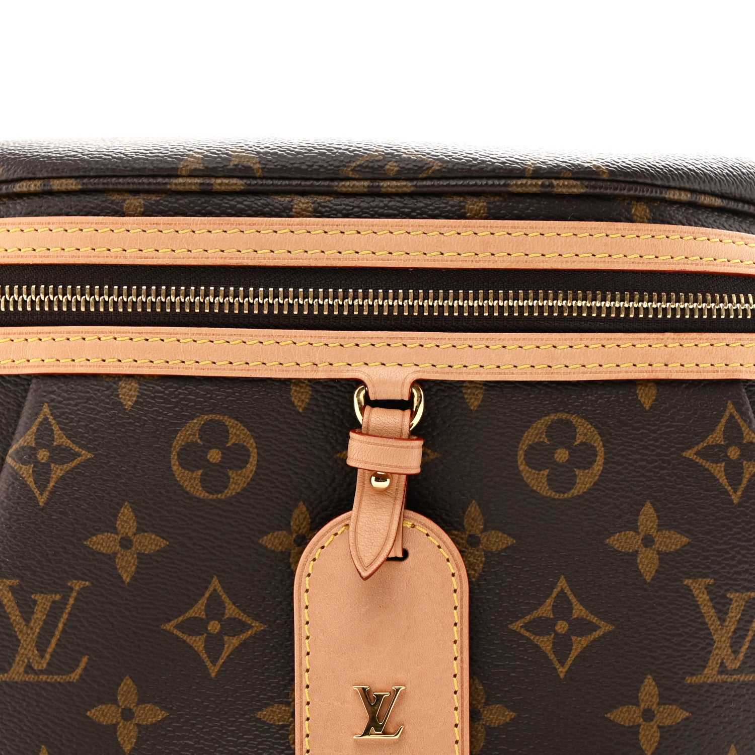 Louis Vuitton Monogram High Rise Bumbag 6 of 8