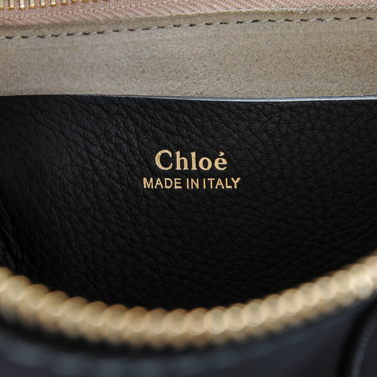 Grained Calfskin Small Hayley Hobo Black