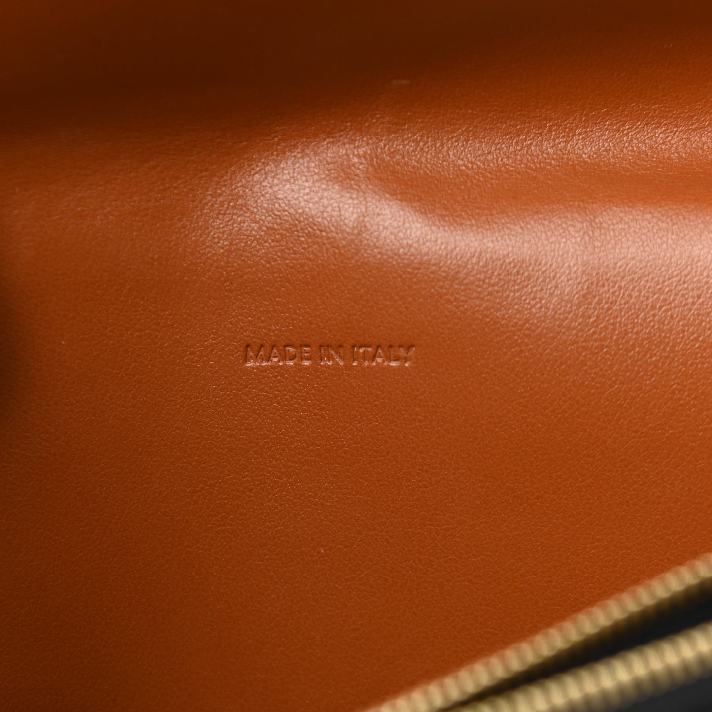 Triomphe Canvas Lambskin Wallet On Strap Tan