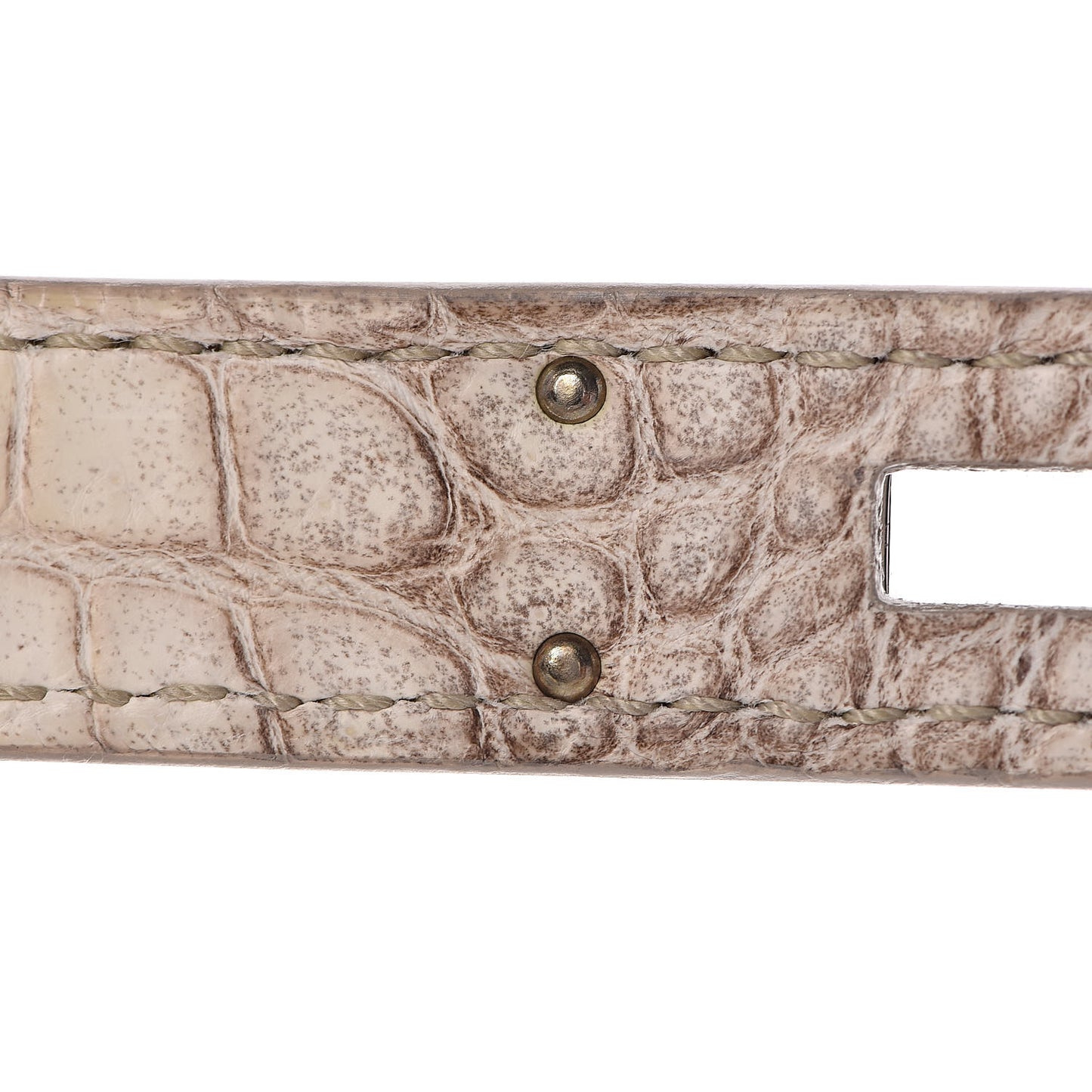 Matte Niloticus Crocodile Himalaya Birkin 30 Blanc