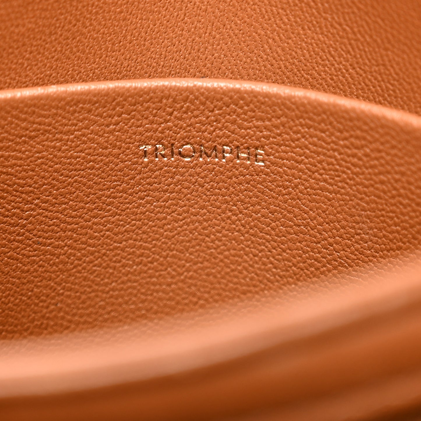 Calfskin Triomphe Canvas Teen Triomphe Bag Tan