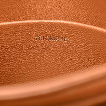 Celine Calfskin Triomphe Canvas Teen Triomphe Bag Tan 7 of 12