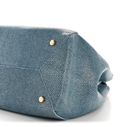Lanvin Galuchat Trapeze Light Blue 11 of 16