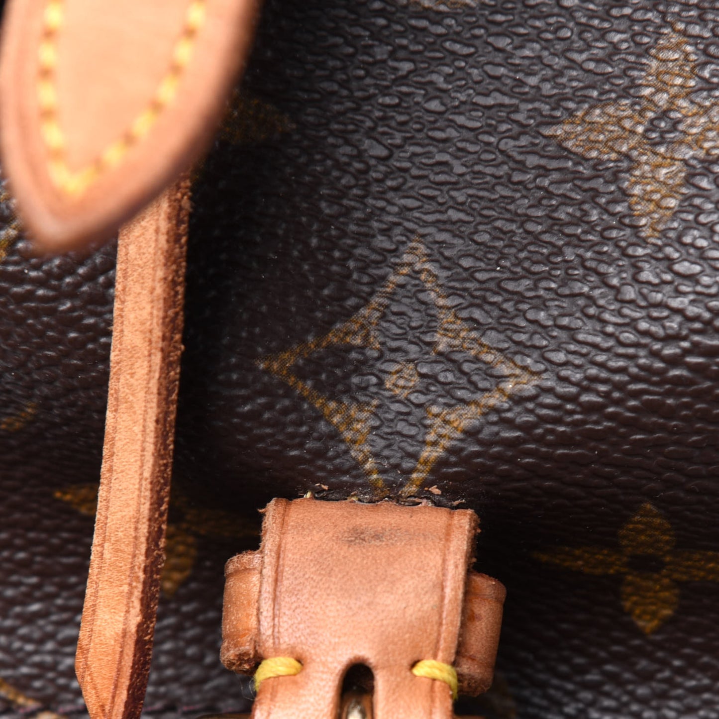 Monogram Mini Montsouris Backpack