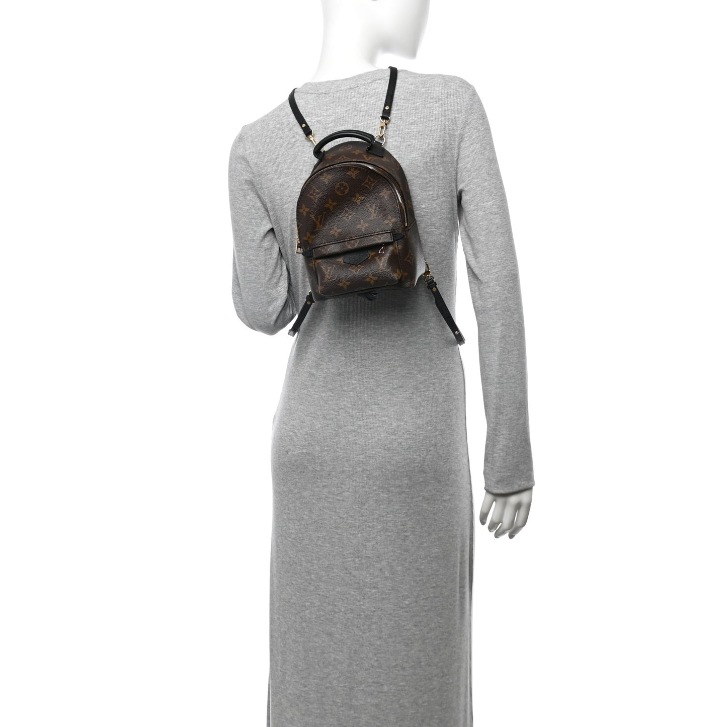 Monogram Palm Springs Backpack Mini