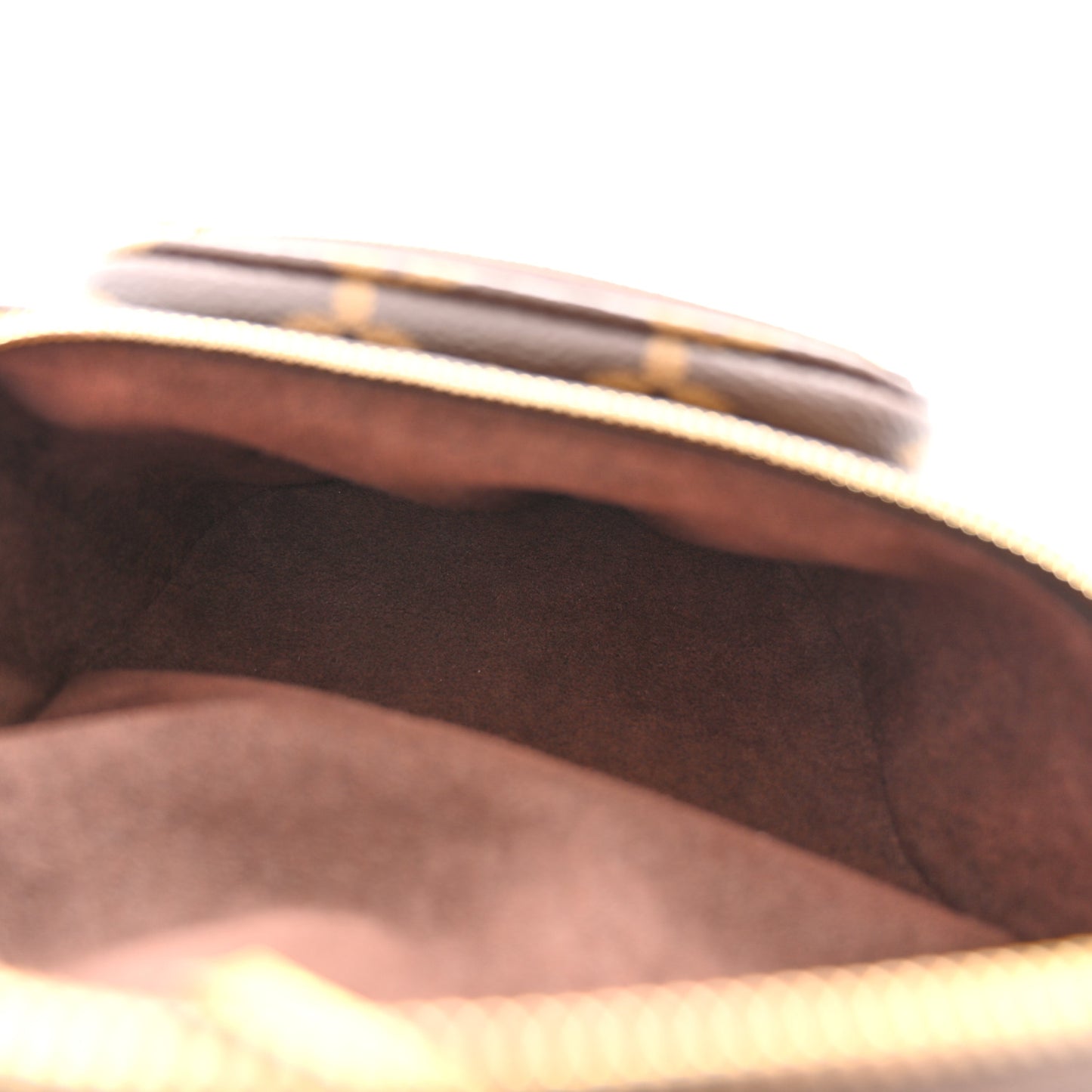 Monogram Mini Bumbag