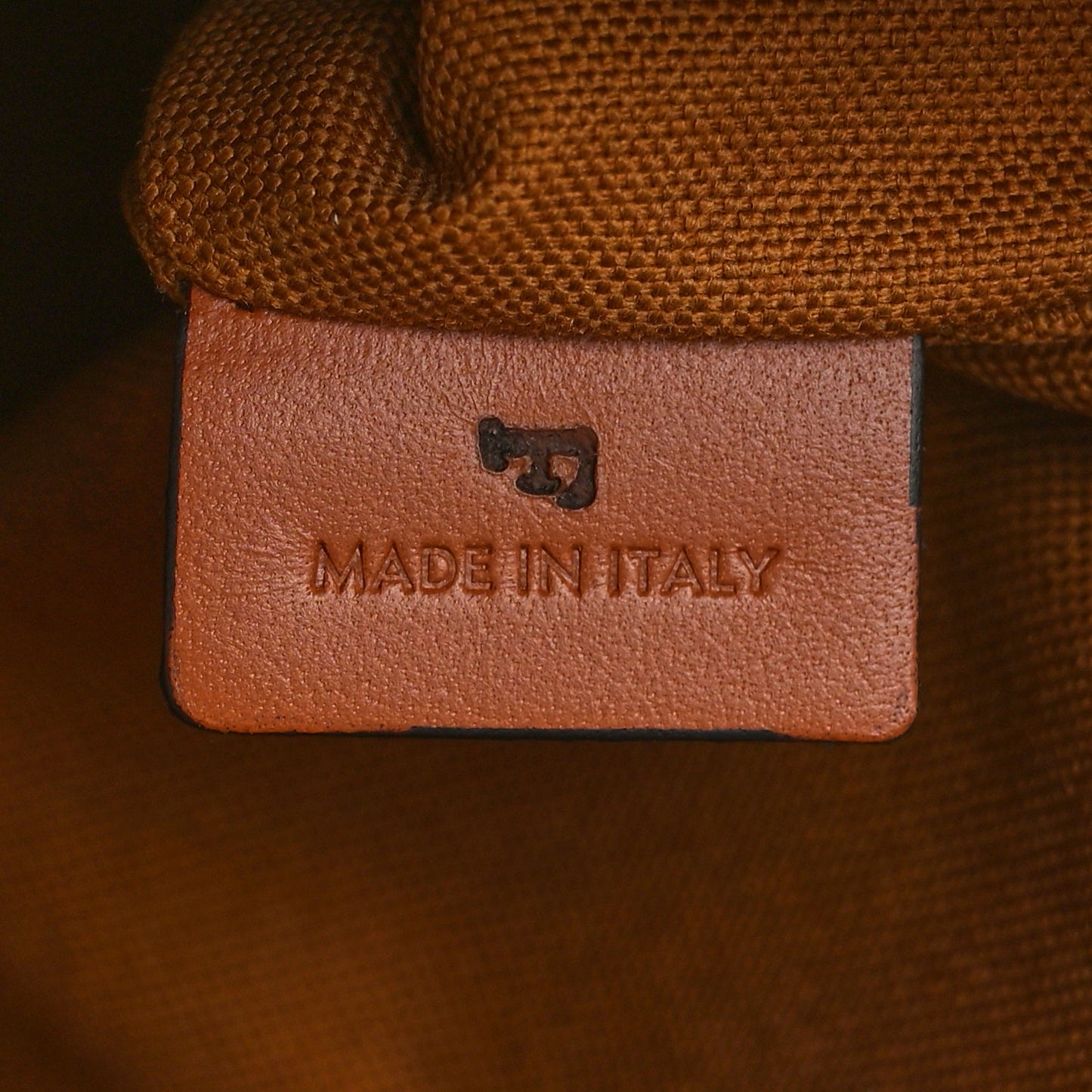 Triomphe Canvas Small Camera Bag Tan