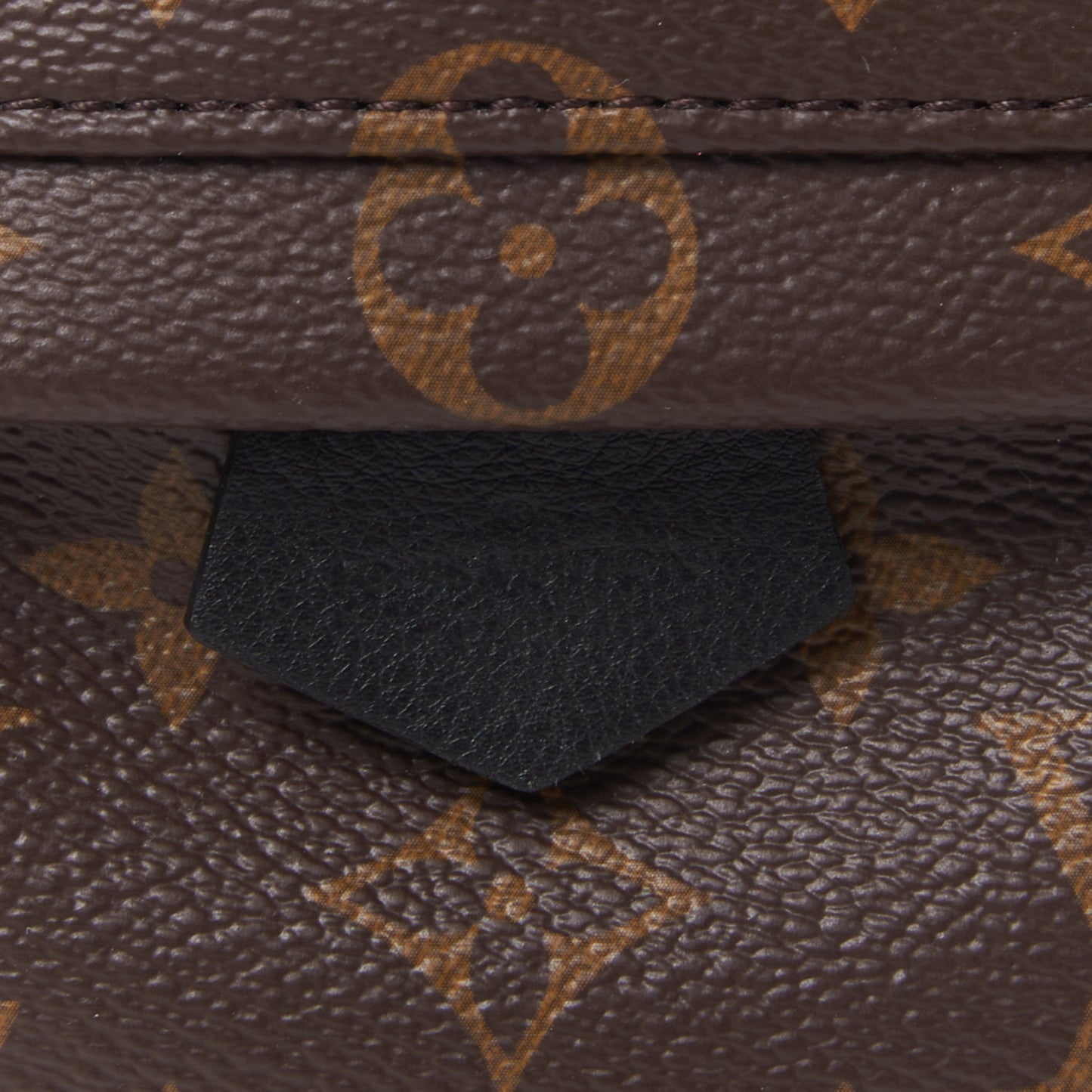Monogram Palm Springs Backpack Mini