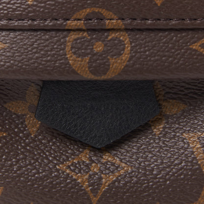 Louis Vuitton Monogram Palm Springs Backpack Mini 7 of 8