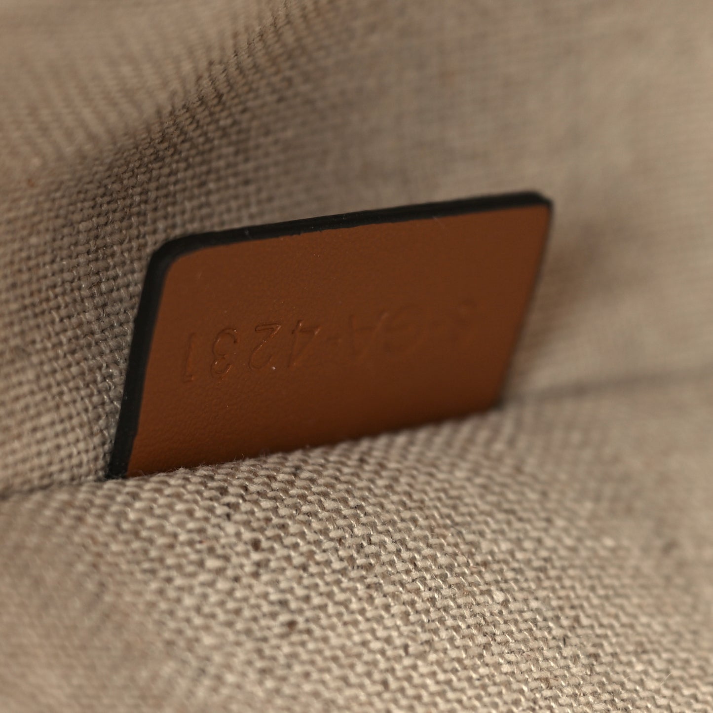 Canvas Calfskin Ava Triomphe Shoulder Bag Green