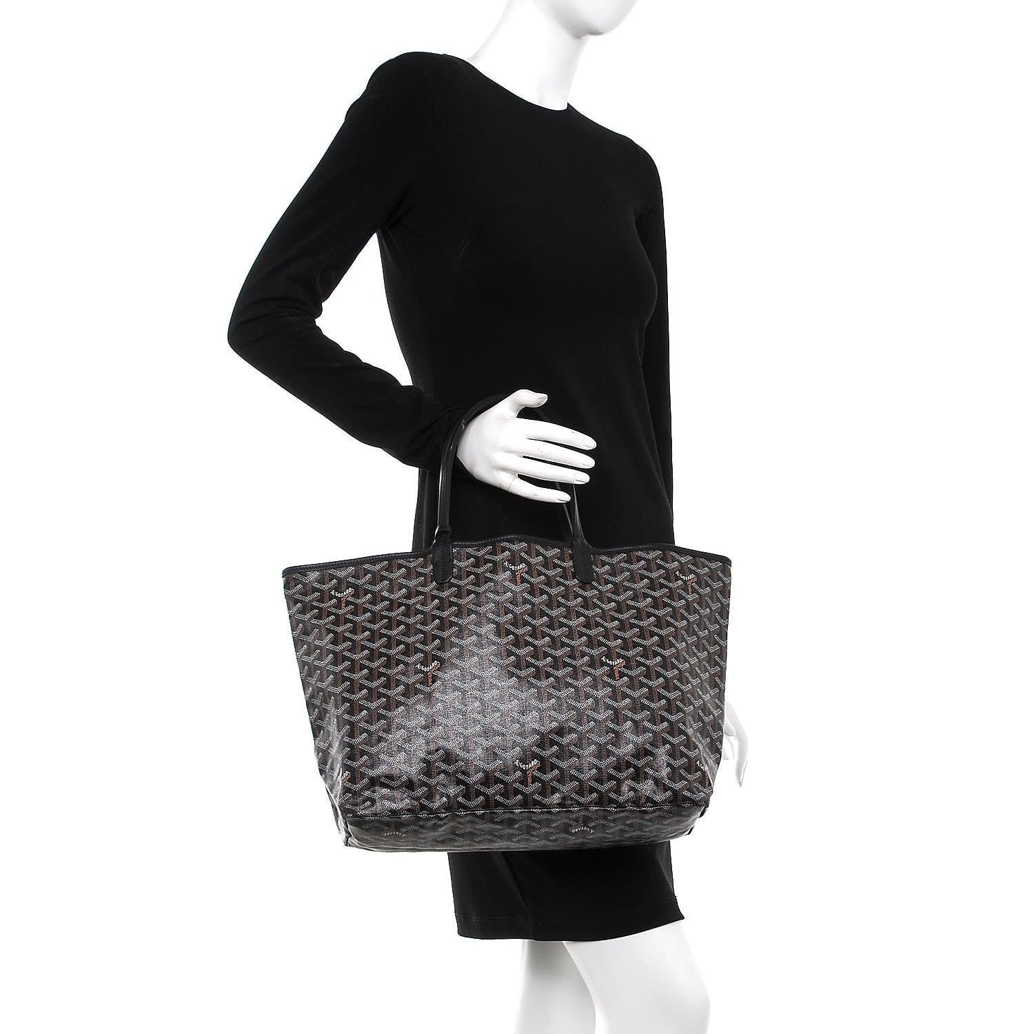 Goyard Goyardine Saint Louis PM Black 2 of 10