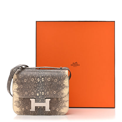 Hermes Lizard Constance 18 Ombre 13 of 13