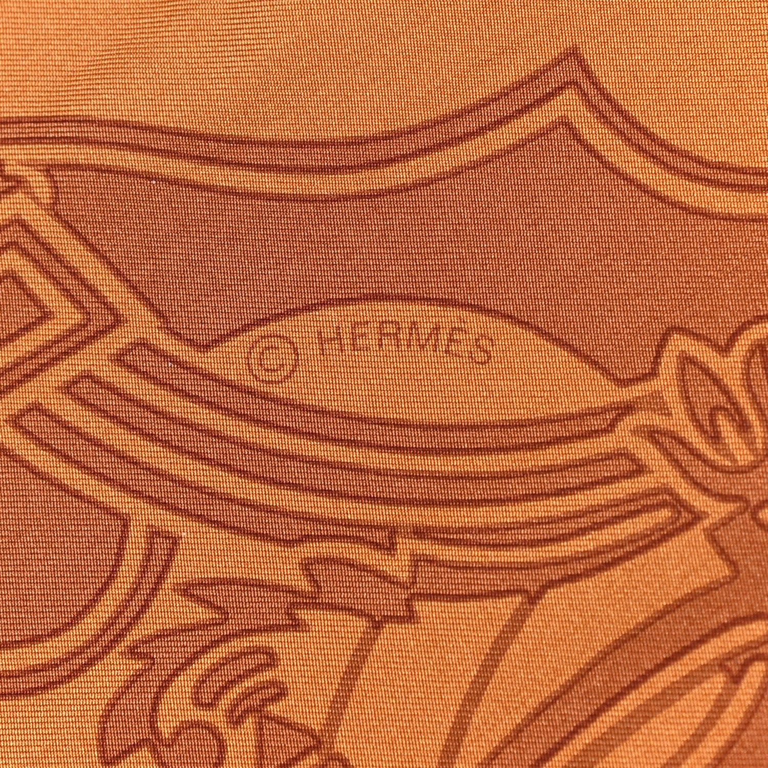 Hermes Silk Dip Dye Ex Libris Shawl 140 Rouille Bronze 4 of 5
