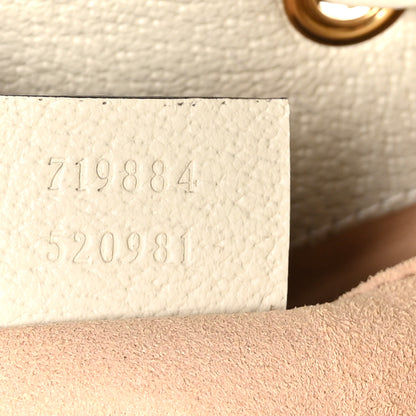 Gucci Glazed Textured Calfskin Web Small Ophidia Bucket Bag Mystic White 7 of 11