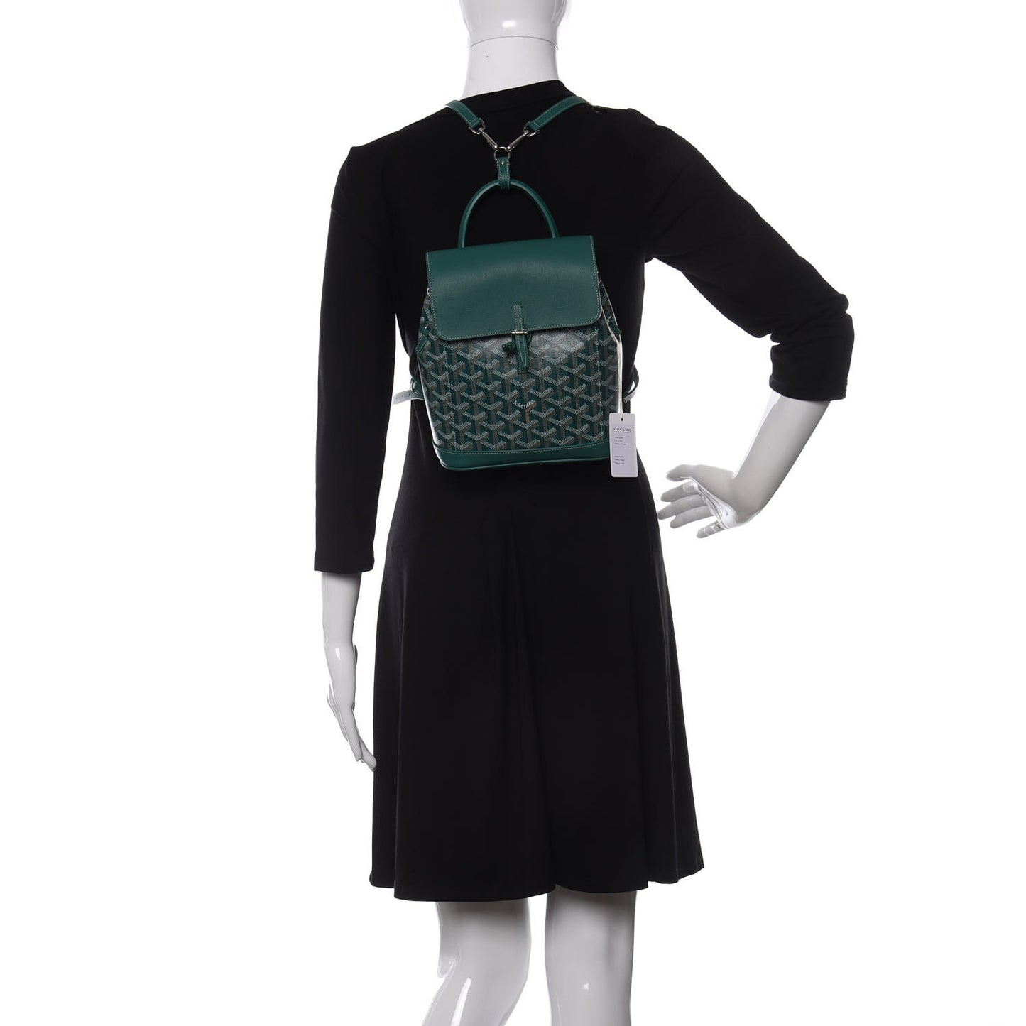 Goyardine Calfskin Mini Alpin Backpack Green