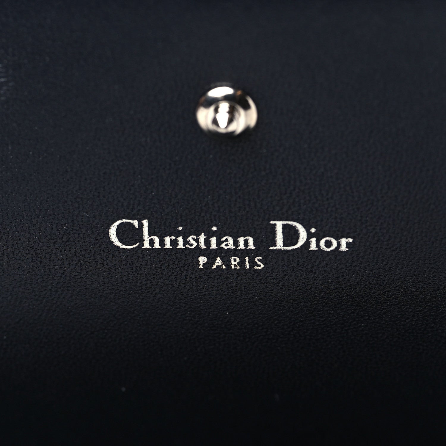 Christian Dior Ceramic Effect Deerskin Diorama Croisiere Chain Wallet Ice Lagoon 6 of 6