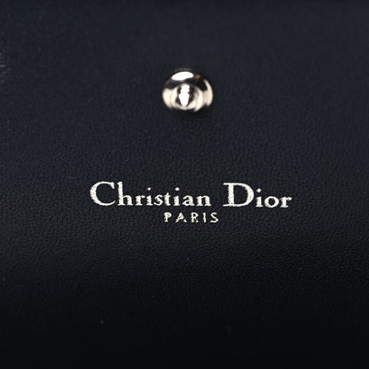 Christian Dior Ceramic Effect Deerskin Diorama Croisiere Chain Wallet Ice Lagoon 6 of 6