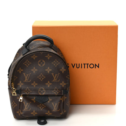 Louis Vuitton Monogram Palm Springs Backpack Mini 14 of 14