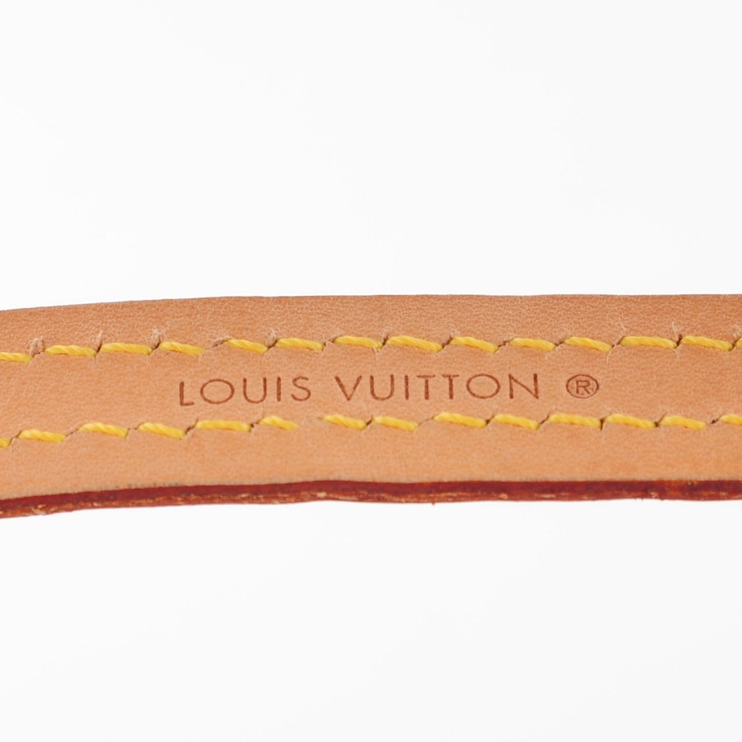 Monogram Baxter Dog Leash MM