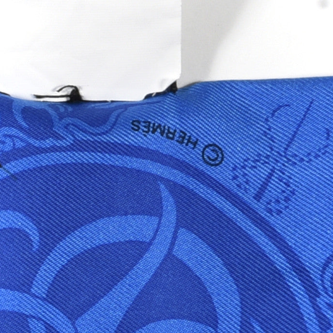 Hermes Silk Ex-Libris Les Parisiennes Twilly Bleu Royal Rouge Ciel 3 of 4