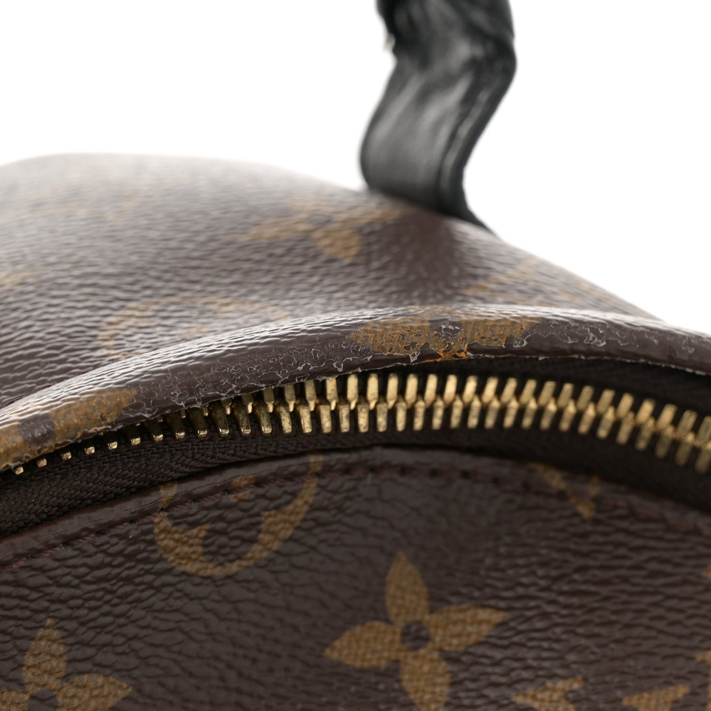 Monogram Palm Springs Backpack PM