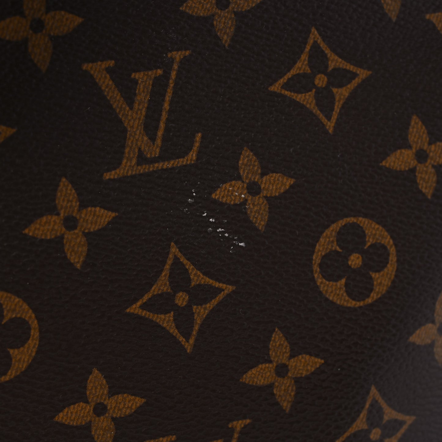 Monogram Flower Hobo Snakeskin