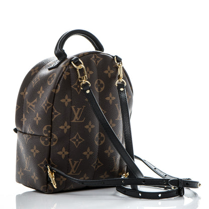 Louis Vuitton Monogram Palm Springs Backpack Mini 3 of 12