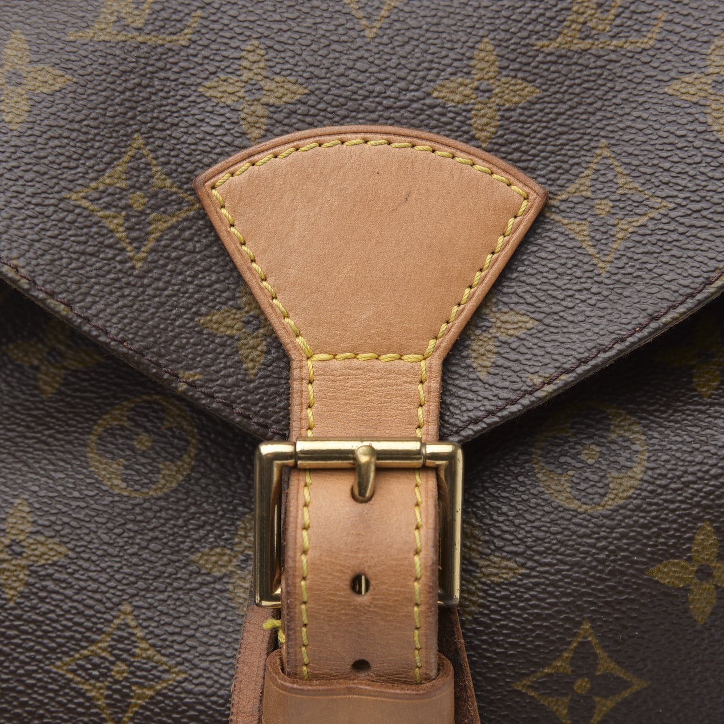 Monogram Montsouris GM Backpack