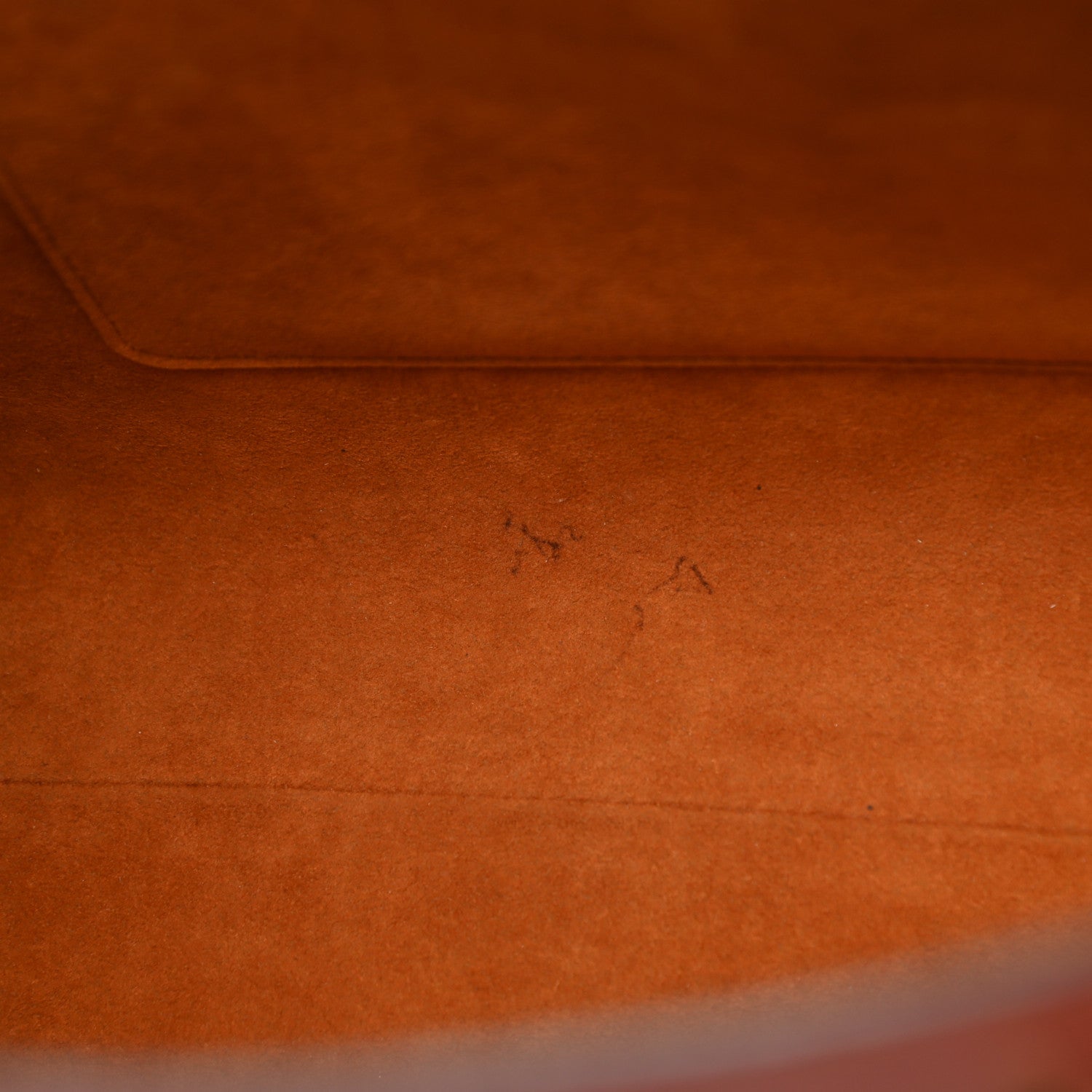 Louis Vuitton Epi Dupleix Kenyan Fawn 5 of 12