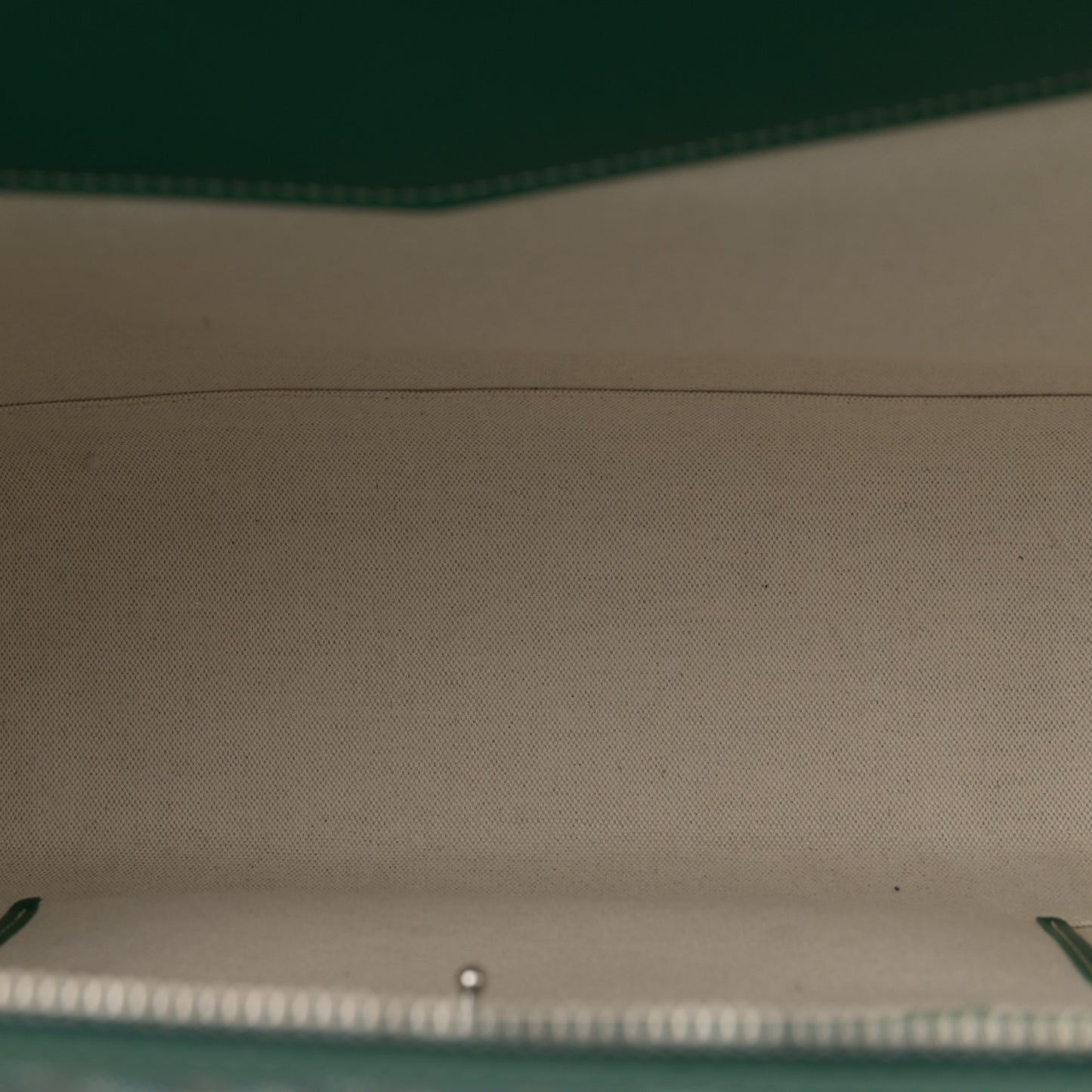 Goyardine Calfskin Cisalpin Document Case Green