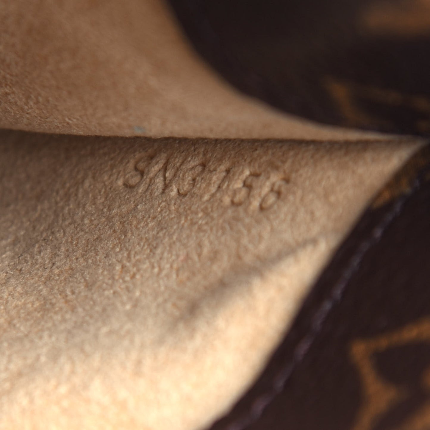 Monogram Sunglasses Case MM