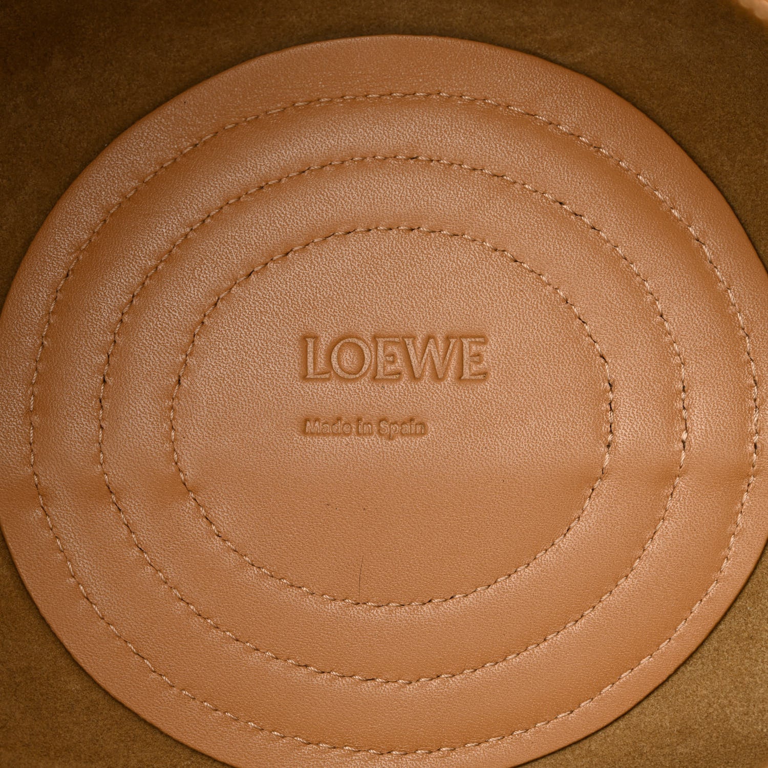 Loewe Shiny Nappa Calfskin Paseo Bag Warm Desert 6 of 10