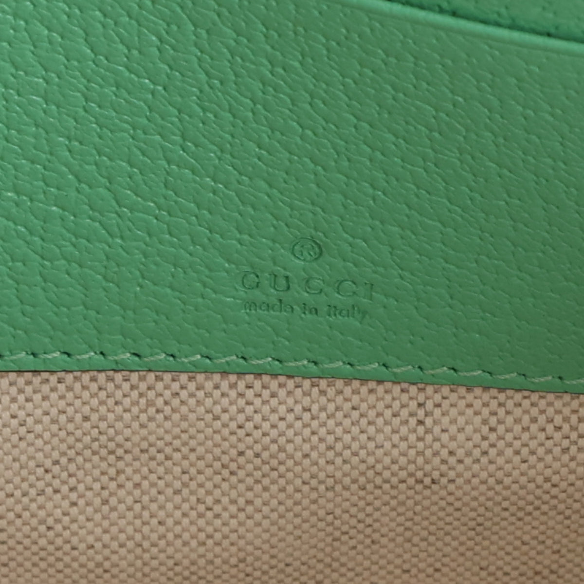 Raffia GG Monogram Miami Case Green Orange