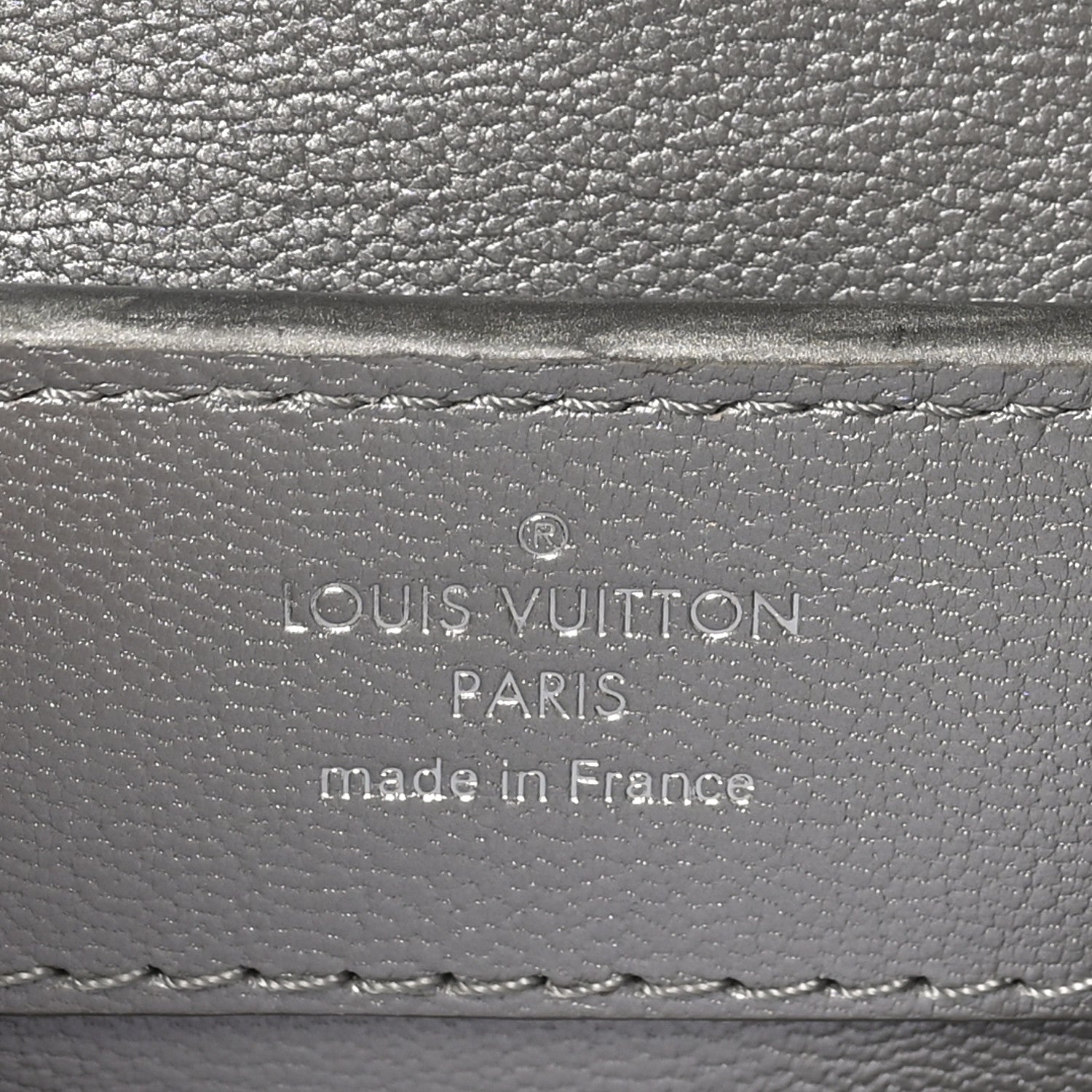 Louis Vuitton Lizard Mini Capucines Argento 5 of 10