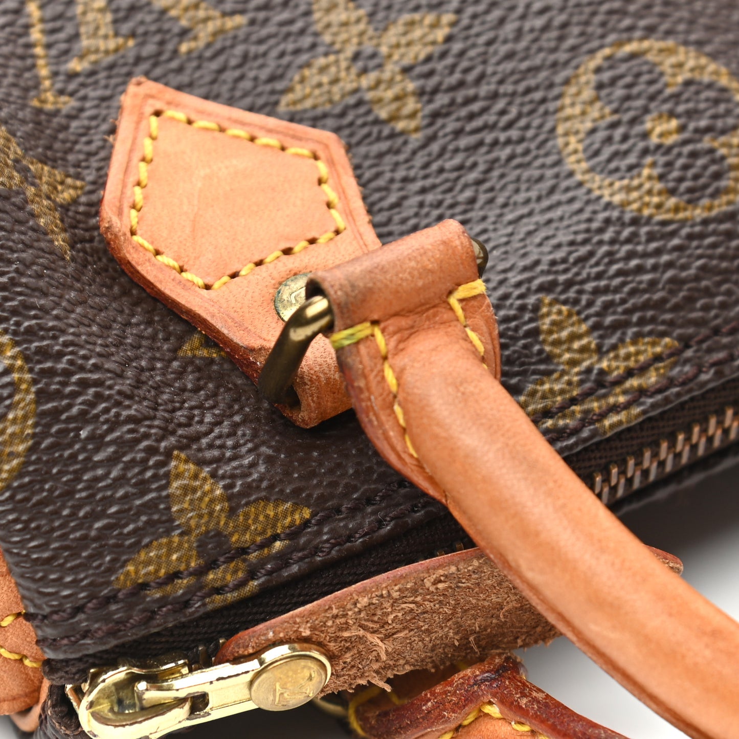 Monogram Mini Sac HL Speedy