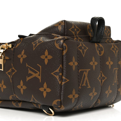 Louis Vuitton Monogram My World Tour Palm Springs Backpack Mini 7 of 12