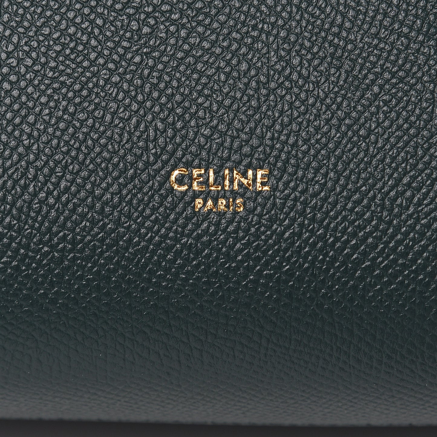 Baby Grained Calfskin Micro Belt Bag Amazone