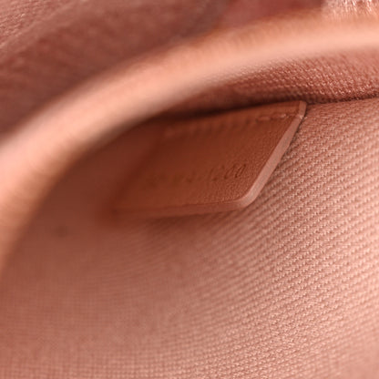 Christian Dior Canvas Embroidered Cannage Medium Lady D-Lite Pink 7 of 15
