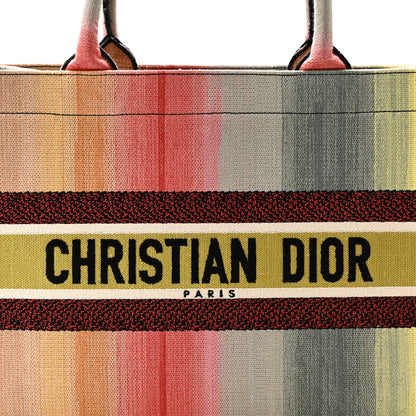 Christian Dior Canvas Embroidered Medium Dioraura Book Tote Multicolor 8 of 10