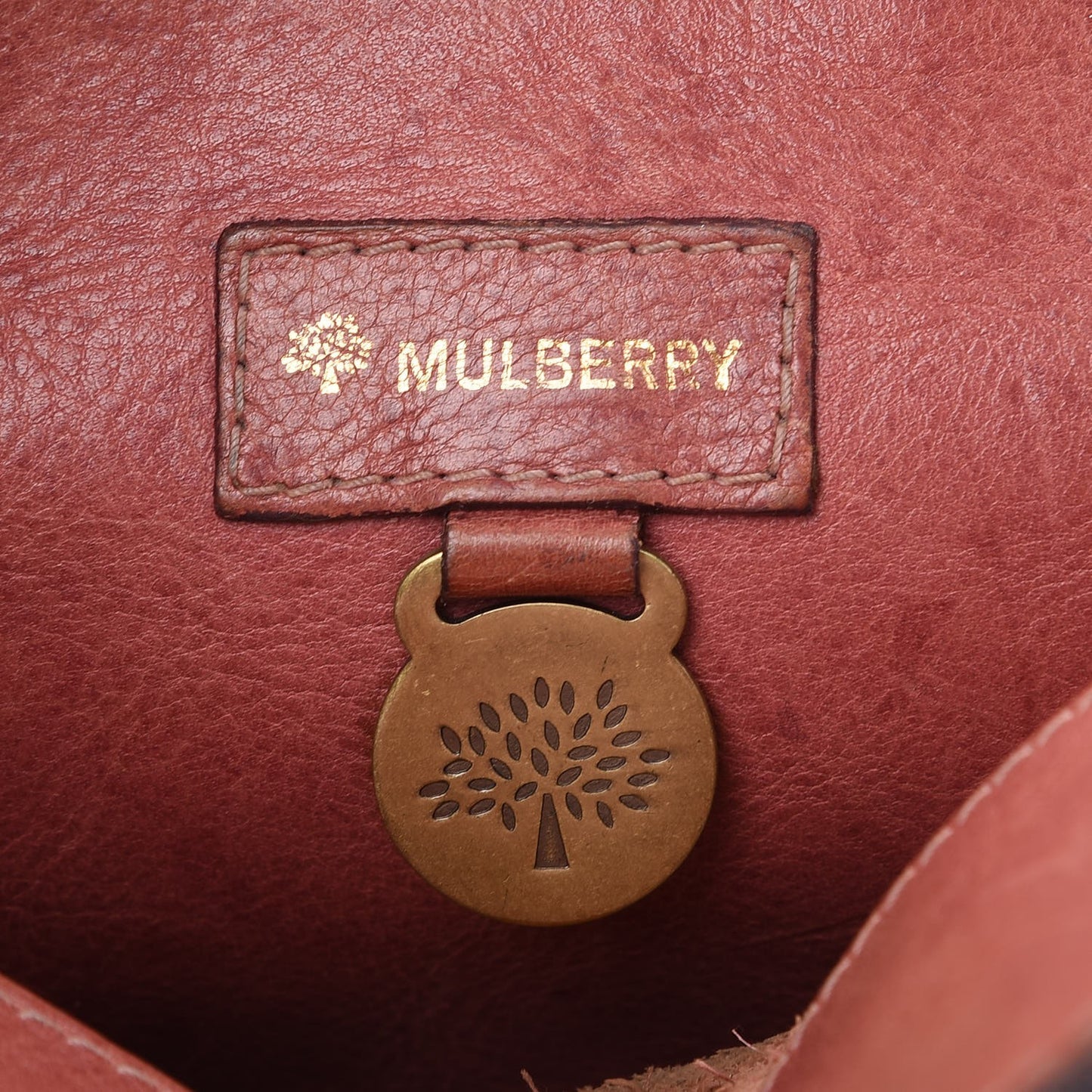 Calfskin Roxanne Satchel Rust