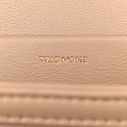 Celine Shiny Calfskin Medium Triomphe Nude 6 of 13