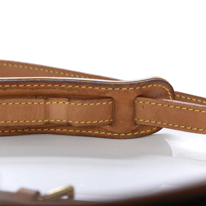 Louis Vuitton Monogram Sologne 11 of 12