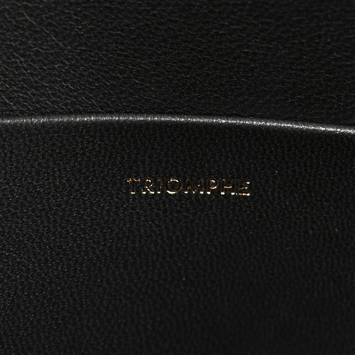 Shiny Calfskin Medium Triomphe Black