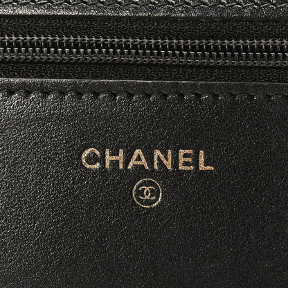 Chanel Metallic Calfskin Quilted 2.55 Reissue Wallet On Chain WOC Grey 6 of 9